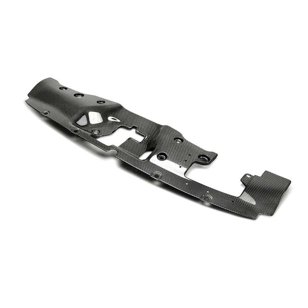 SEIBON Carbon Fiber Cooling Plate - 2017+ Civic FK8 Type-R